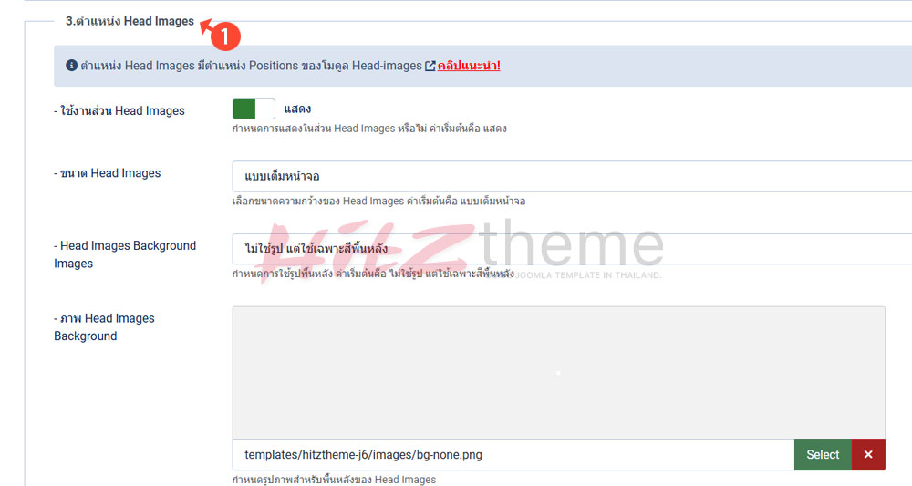 คู่มือการใช้งาน Hitztheme template