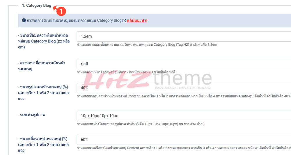 คู่มือการใช้งาน Hitztheme template
